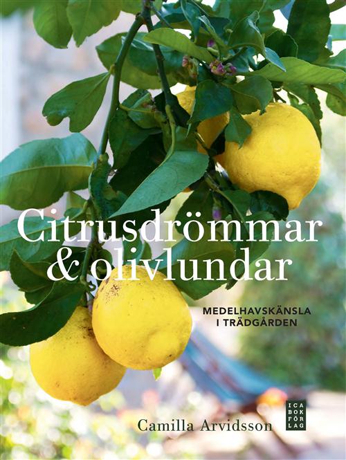Citrusdrömmar & olivlundar - en intressant bok med vackra bilder tagna på Mallorca